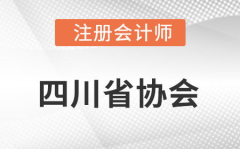 四川注册会计师协会,助力行业高质量发展,构建诚信服务新格局