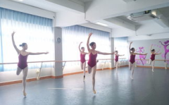 专业舞蹈培训班,探索专业舞蹈培训班的魅力与奥秘