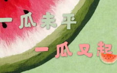娱乐吃瓜君 刘二豆,从萌宠网红到人气爆棚,揭秘“会说话的猫咪”背后的故事