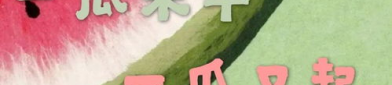 娱乐吃瓜君 刘二豆,从萌宠网红到人气爆棚,揭秘“会说话的猫咪”背后的故事